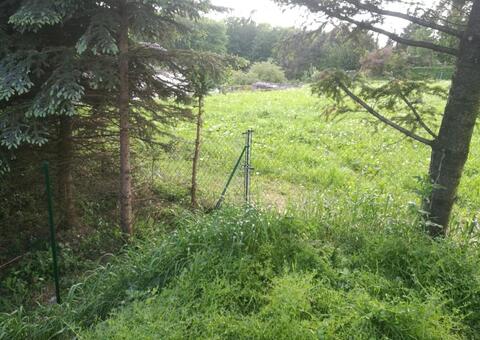 Maschendrahtzaun 3422 Hadersfeld Niederösterreich 13