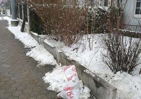 Doppelstabgitterzaun in 1130 Wien 04