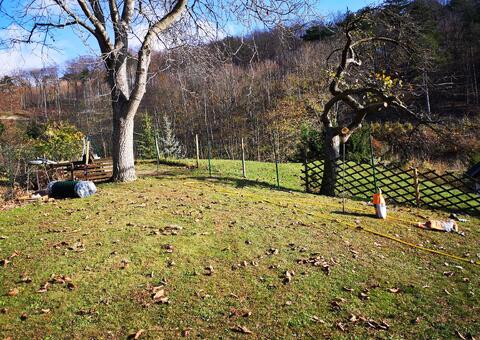 Maschendrahtzaun in 2393 Sittendorf  Niederösterreich 04