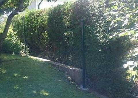 Doppelstabgitterzaun in 2721 Bad Fischau Niederösterreich 03