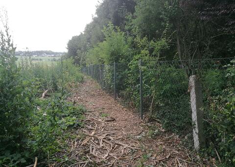 Maschendrahtzaun in 2380 Perchtoldsdorf Niederösterreich 11