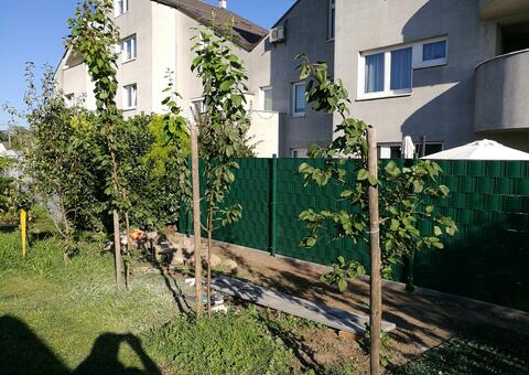 Doppelstabgitterzaun in 1220 Wien 06